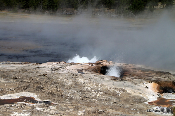 32 Steady Geyser