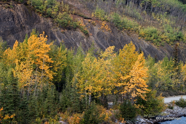 35-Fall Colors, Matanuska (5)