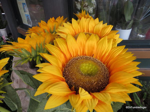 Flower Shop, Fiumicino.