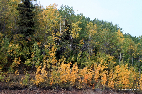 36-Fall Colors, Matanuska (8)