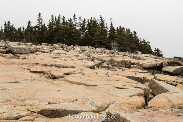 36 hours bar harbor-35