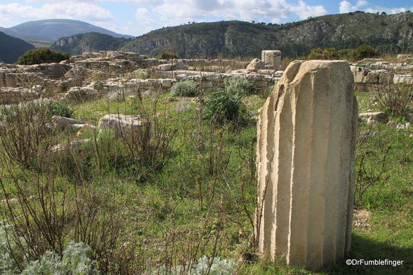 38 Segesta