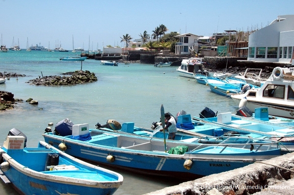 3_Body_puerto-ayora harbour santa cruz island