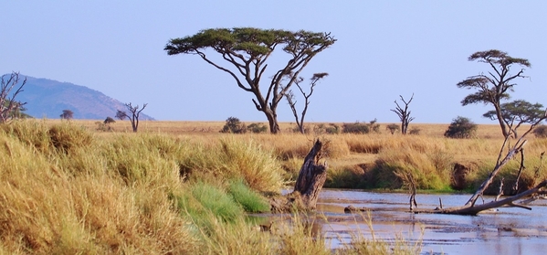 3_tanzania-278367_1280