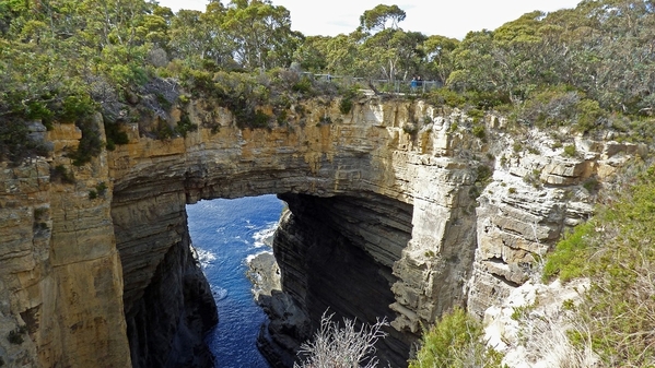 4 Tasman Arch