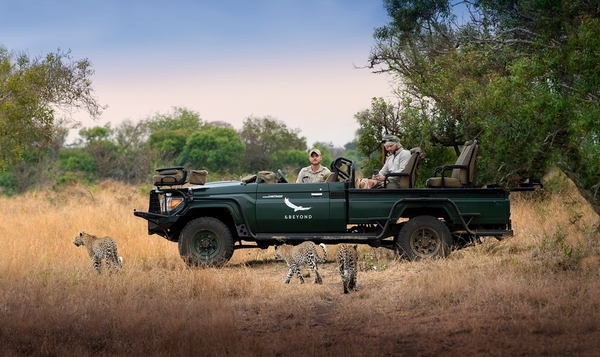 6_South-Africa-Phinda-Private-Game-Reserve-Game-Drive-Leopard _8_-Collections-3000w