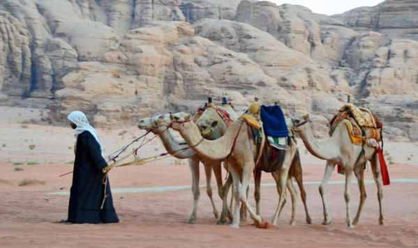 8-Wadi Rum 1