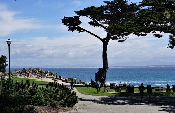 9_Pacific Grove