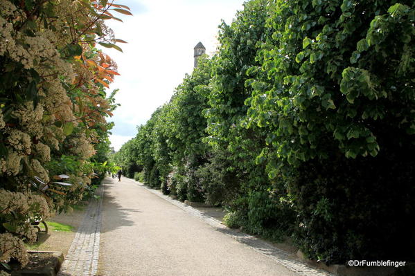 Walkway to Eglise Saint Michel, Fontevraud Abbey