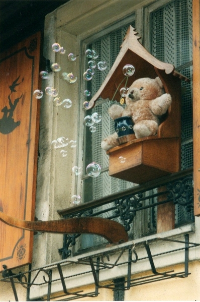 Alsace Bear Window