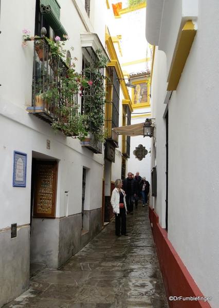 An Evening walk in Santa Cruz, Seville (44)