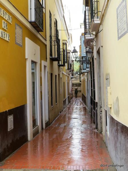 An Evening walk in Santa Cruz, Seville (66)