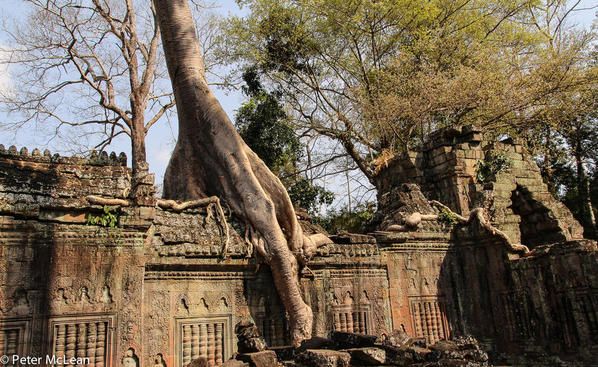 Angkor Temples -8180