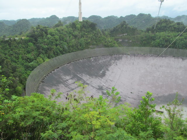 Arecibo dish 2