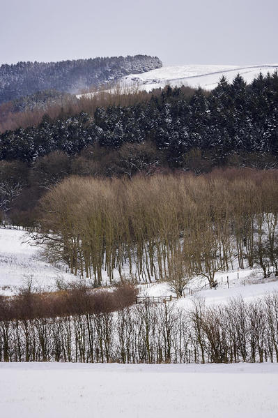 Arncliffe hillside.