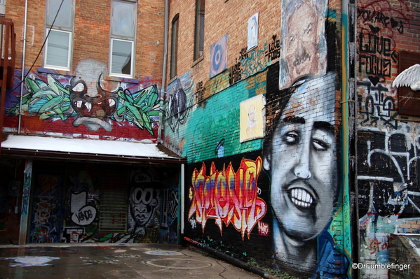 Art Alley, Rapid City (12)