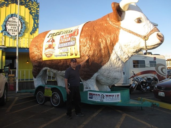 Big Texan - Cow