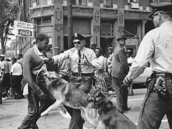 Birmingham 1963 dogs