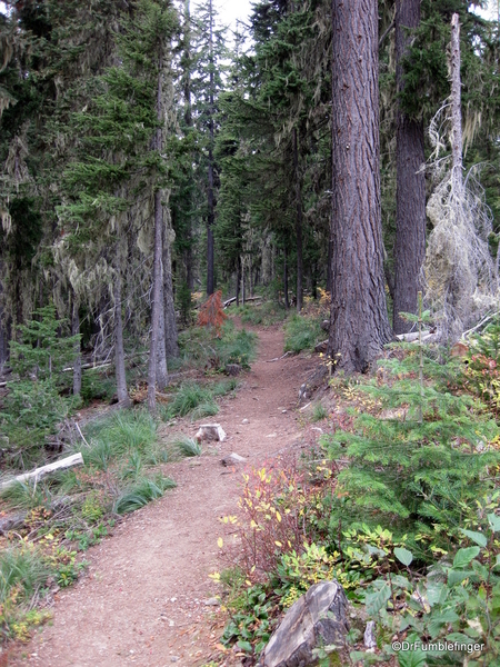 Blossom Lake 2010 006. Blossom Lake trail