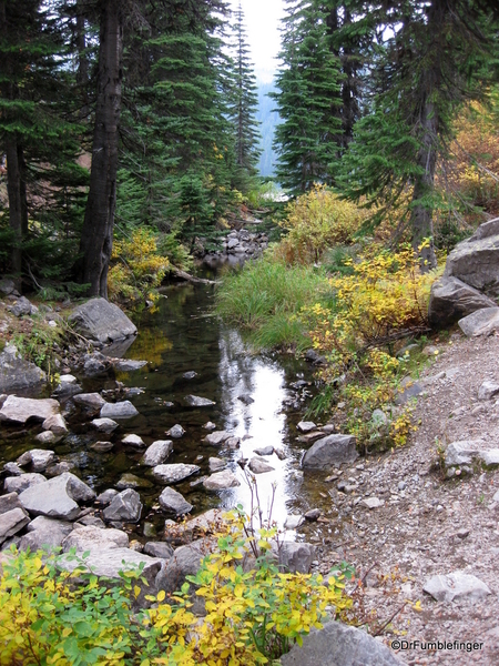 Blossom Lake 2010 022. Blossom Lake trail, fall colors