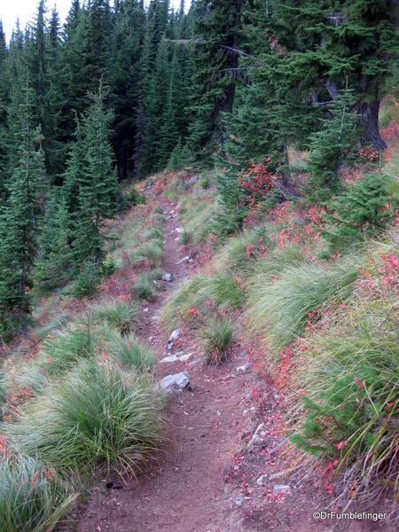 Blossom Lake 2010 034. Blossom Lake trail, fall colors