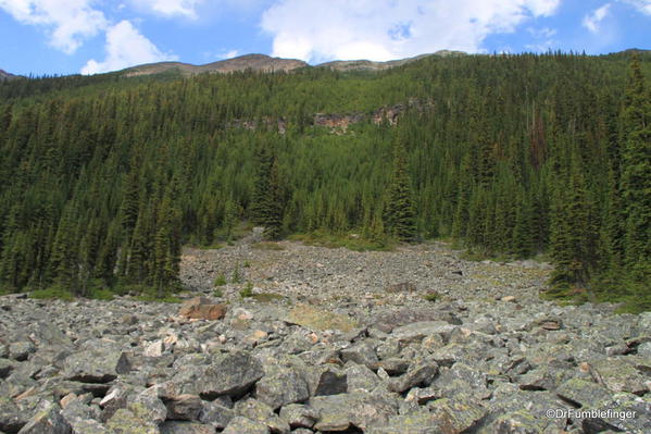 Rockslide near Boom Lake, Banff National Park