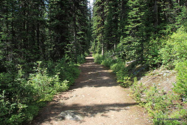 Boom Lake trail, Banff National Park