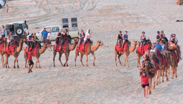 Camel train, Broome