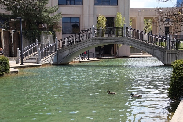 Canal Walk - Bridge