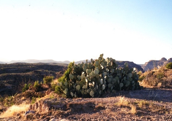 Canyon Lake AZ 4