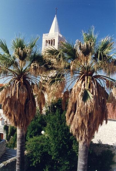 Cathedral of the Assumption of Mary