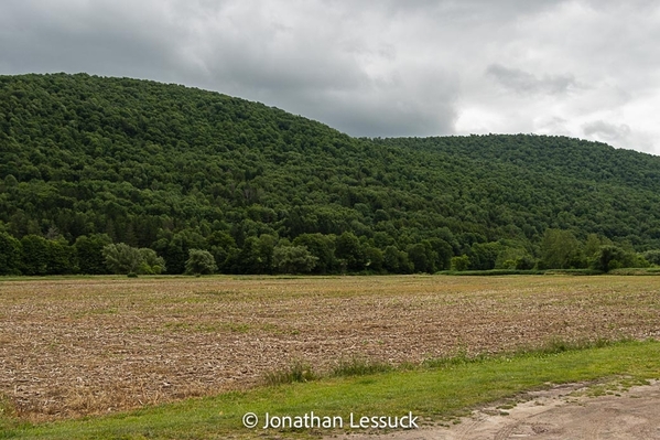 Catskills-14