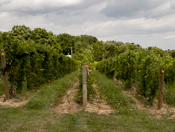 Cayuga Lake-4