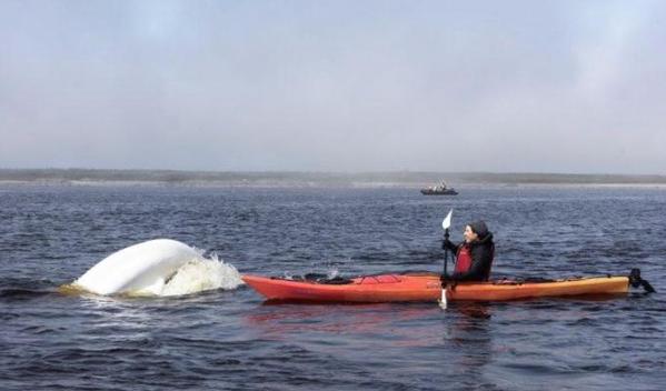 Churchill River, Churchill Manitoba (Photo by Far and Wide- Much )