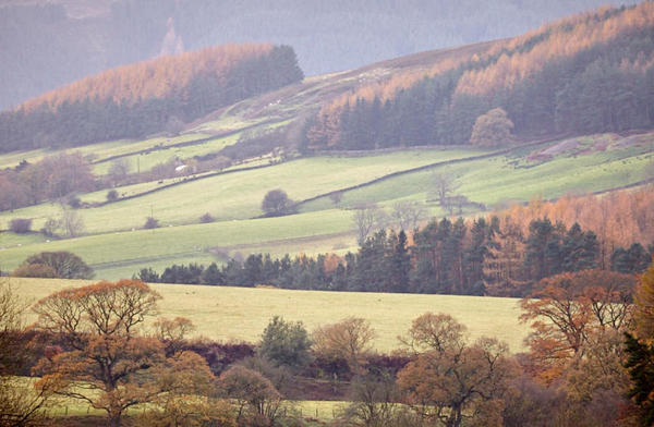 Clay Bank Valley and fields.