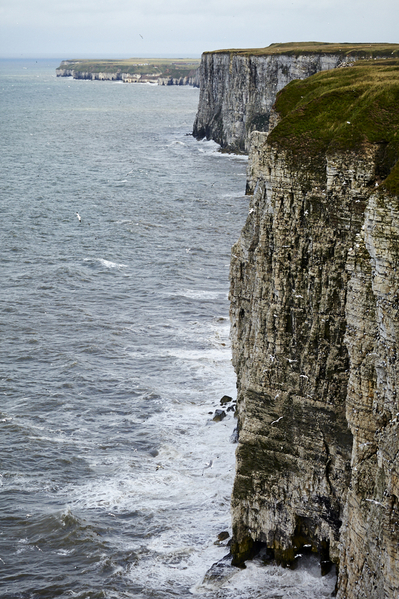 Cliffs at Bempton RSPB.