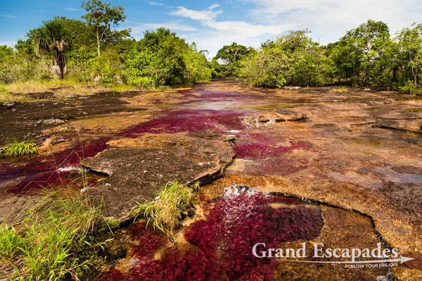 Colombia-CanoCristales-101