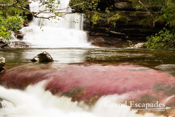 Colombia-CanoCristales-103