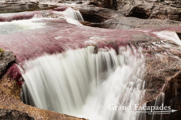 Colombia-CanoCristales-104