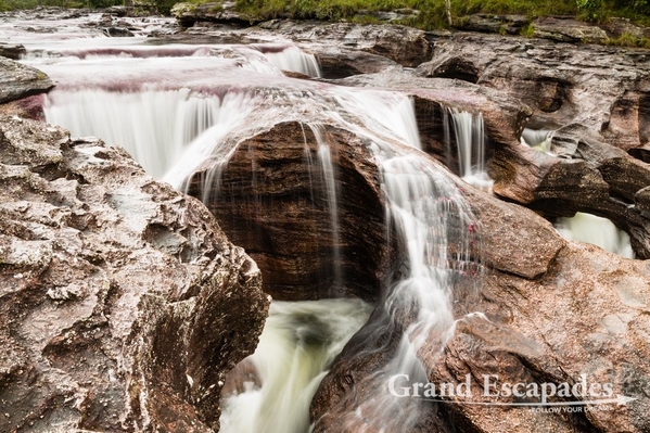 Colombia-CanoCristales-105