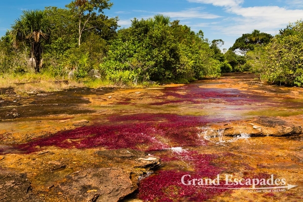 Colombia-CanoCristales-106