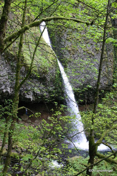 Ponytail Falls, Columbia River Gorge, Oregon