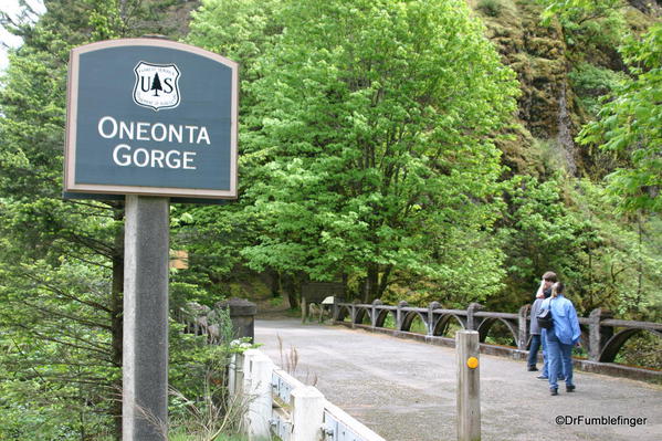 Oneonta Gorge, Columbia River Gorge, Oregon