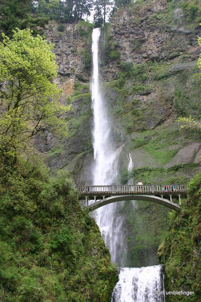 Multnomah Falls, Columbia River Gorge, Oregon