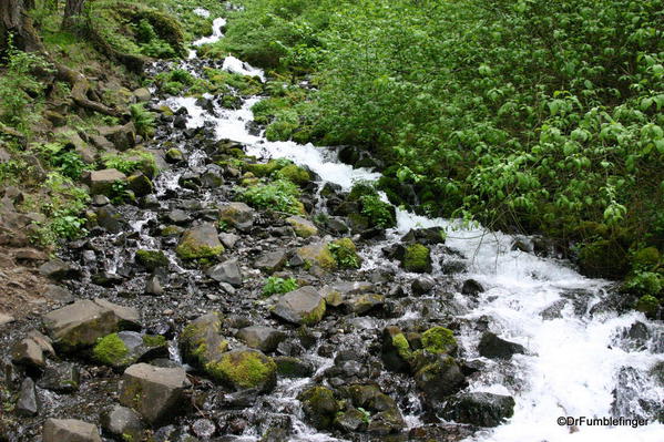 Wahkeena Falls, Columbia River Gorge, Oregon