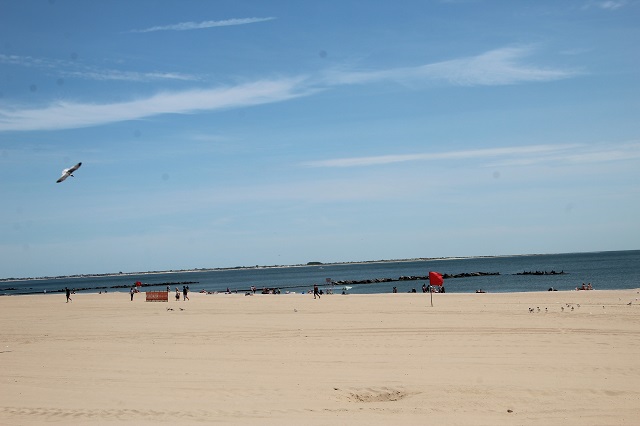 Coney Island - Beach