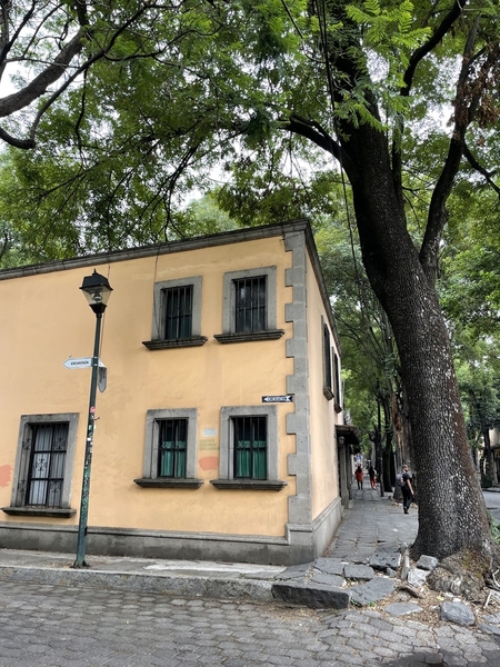 Coyoacan 2