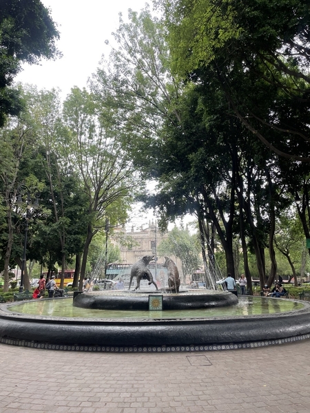 Coyoacan Park