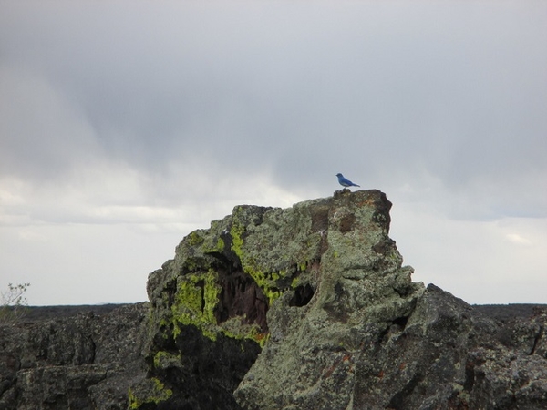 Craters Of The Moon-View2