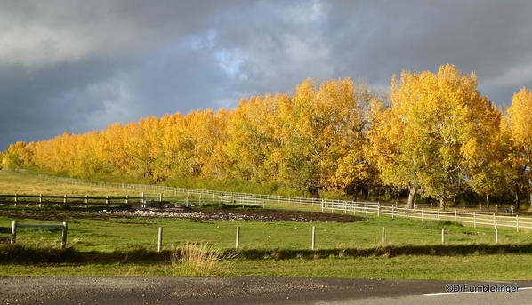 Crowsnest Pass Drive (35)